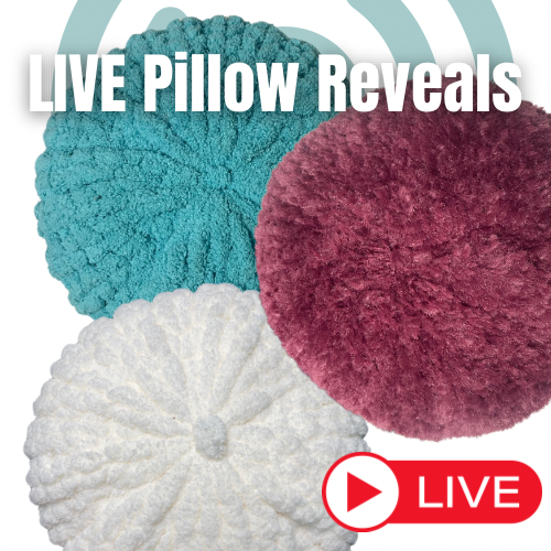 LIVE Throw Pillow Reveal